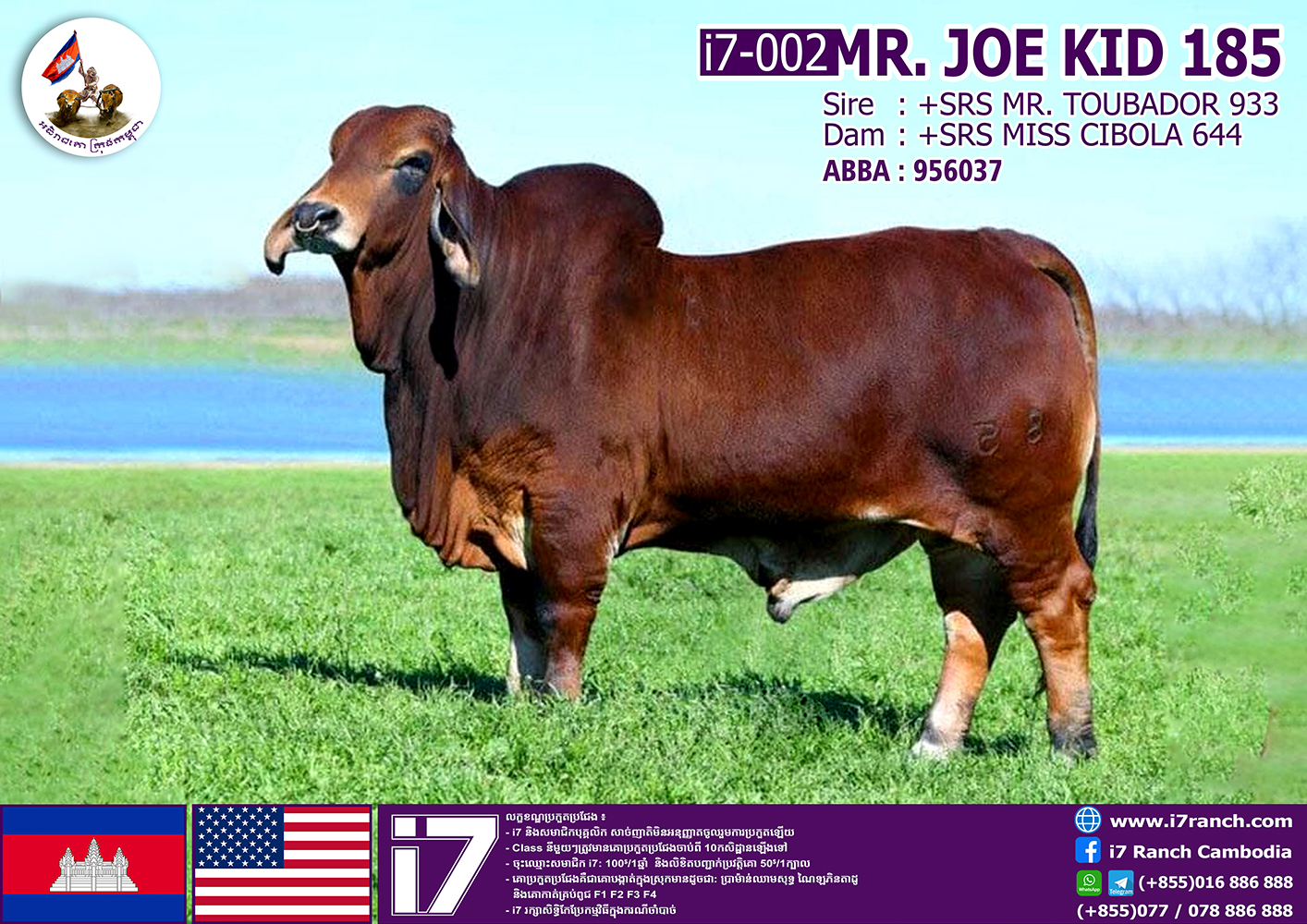Mr.JOE KID 185