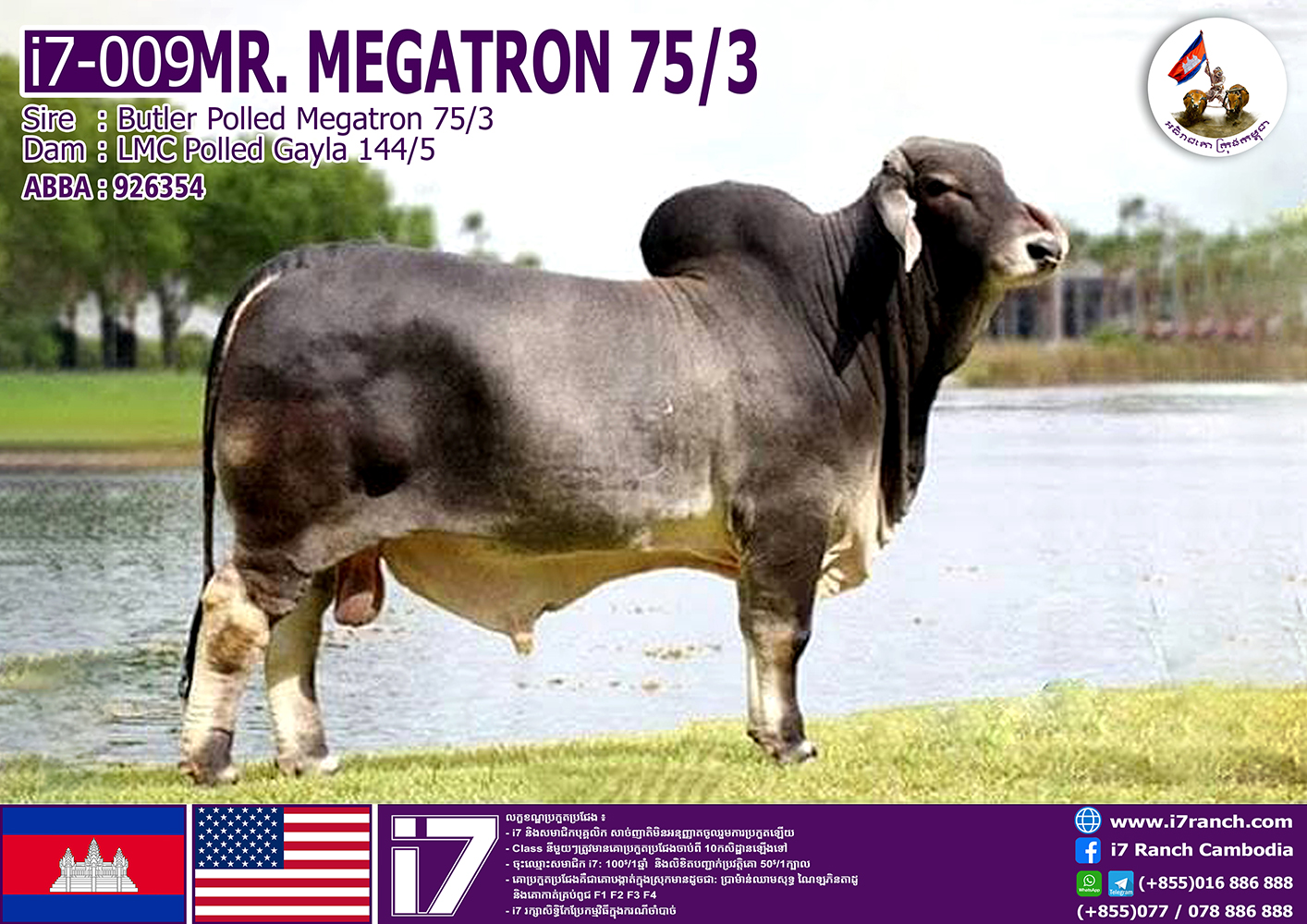 MR.MEGATRON 75/3