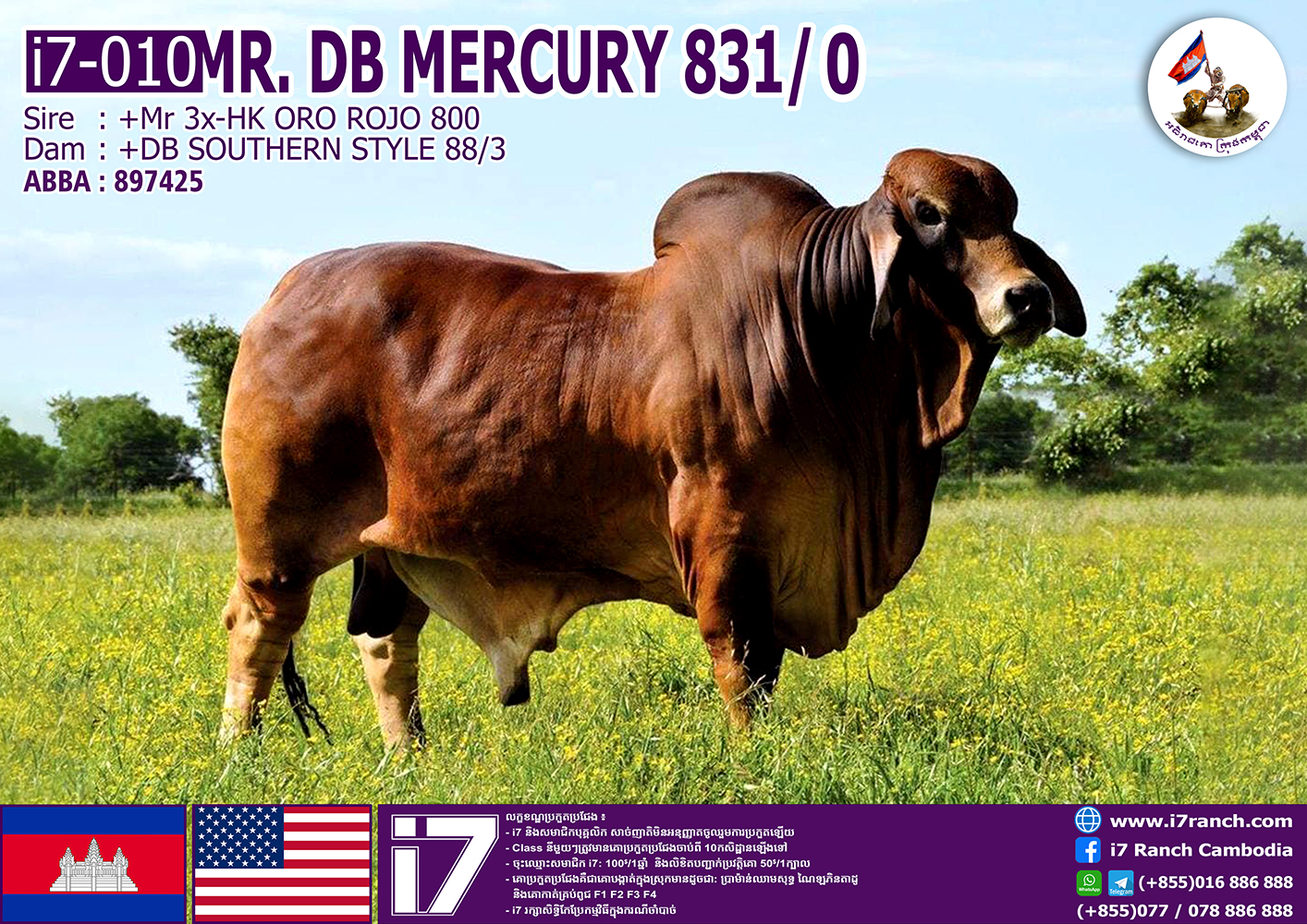 MR.DB MERCURY 831/0
