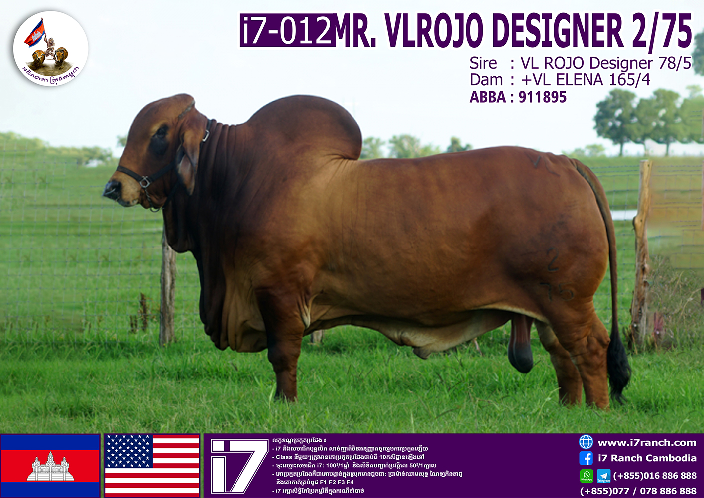 MR.VLROJO DESIGNER 2/75